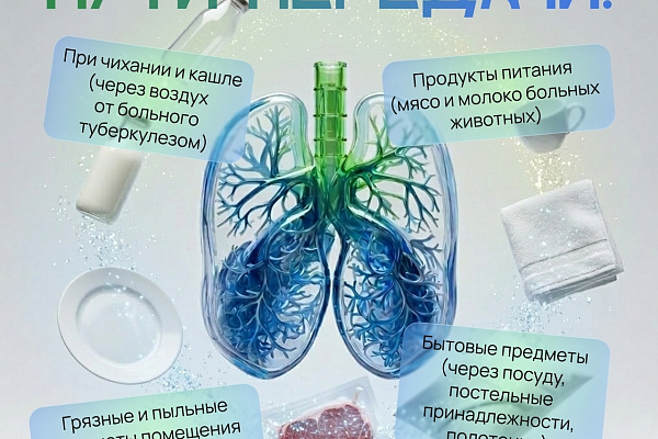 Туберкулез: что важно знать каждому?