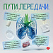 Туберкулез: что важно знать каждому?