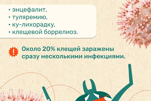 Сезон клещей: как обезопасить себя в путешествии