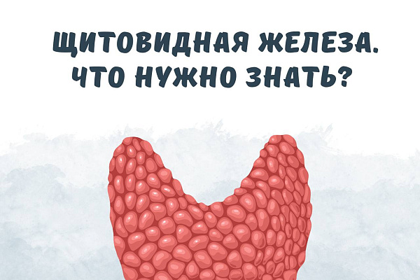 Щитовидная железа, что нужно знать?
