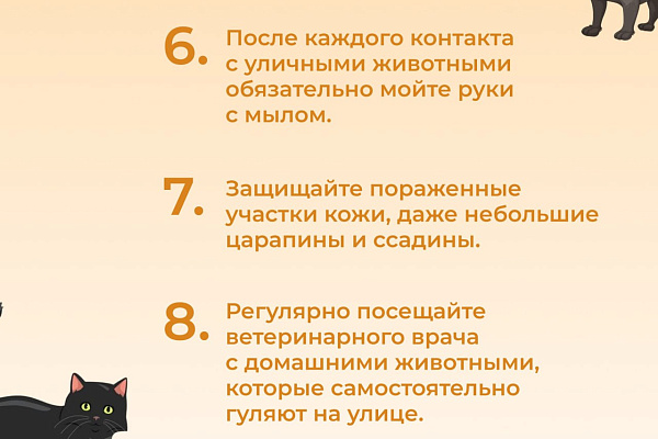 Правила гигиены