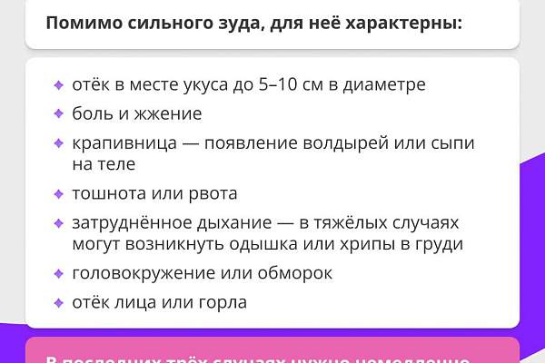 Укусы комаров: что нужно знать