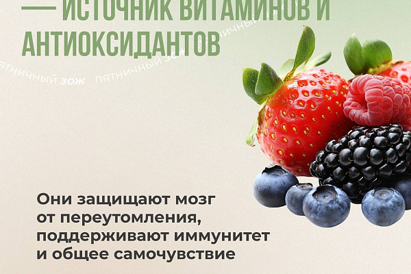 Продуктивность начинается с вашей тарелки
