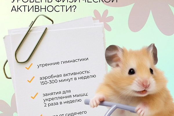 Польза физических нагрузок