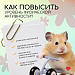 Польза физических нагрузок