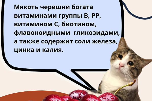 Вопрос, который мы все задаем себе каждое лето: можно ли съесть слишком много черешни?