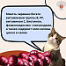 Вопрос, который мы все задаем себе каждое лето: можно ли съесть слишком много черешни?