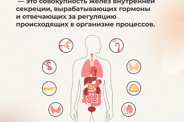 Неделя профилактики заболеваний эндокринной системы