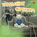 Здоровье на рабочих местах