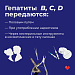 Основные виды вирусного гепатитна