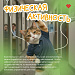 Здоровье на рабочих местах