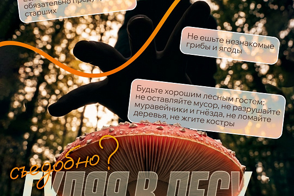 Твоя безопасность на природе