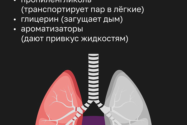 Вкусные вредители