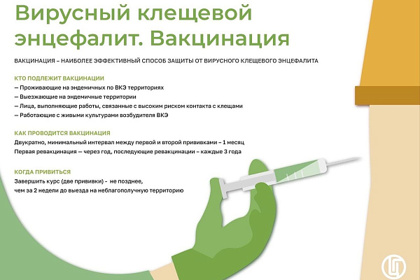 Сезон активности клещей