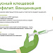 Сезон активности клещей