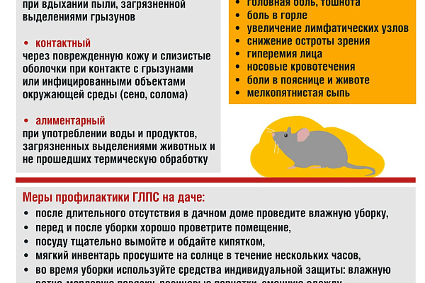 Внимание! Геморрагическая лихорадка с почечным синдромом
