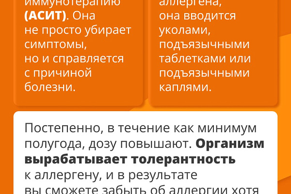 Не просто насморк: как выявить и лечить аллергию