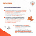 Как осенью работать продуктивно
