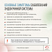 Неделя профилактики заболеваний эндокринной системы