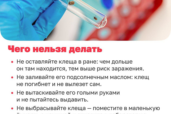 Как избавиться от клещей