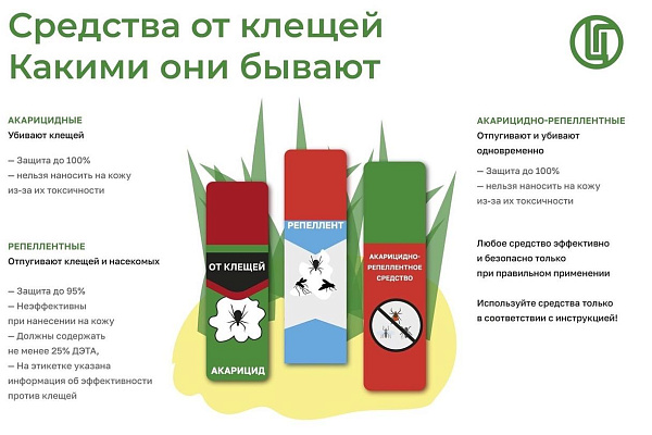Сезон активности клещей