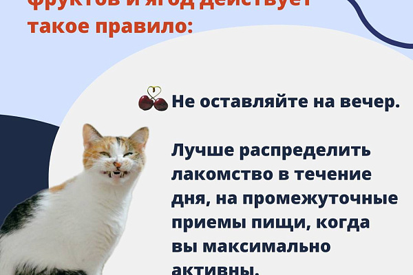 Вопрос, который мы все задаем себе каждое лето: можно ли съесть слишком много черешни?