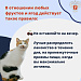Вопрос, который мы все задаем себе каждое лето: можно ли съесть слишком много черешни?