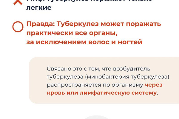 От домыслов к фактам: разоблачаем мифы о туберкулезе
