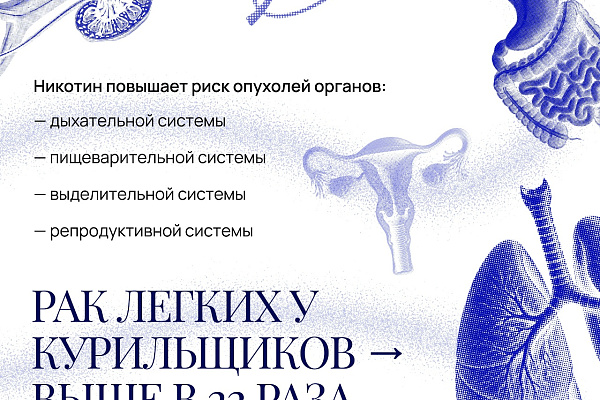 Почему бросить курить нужно прямо сейчас? (спойлер: никогда не поздно) 