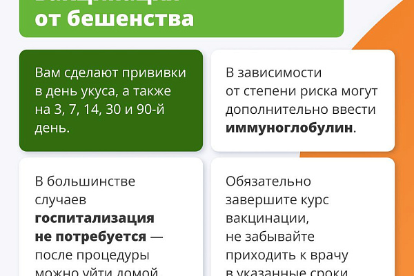 Дикие звери: как избежать встречи и что делать при укусе