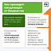 Дикие звери: как избежать встречи и что делать при укусе