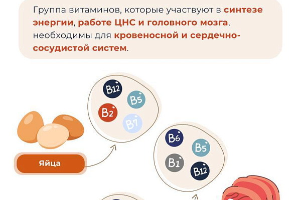 Витаминная азбука: от А до К