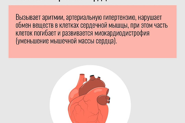 В Югре проходит Неделя отказа от алкоголя
