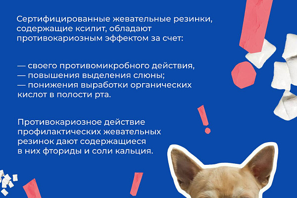 Жвачка: друг или враг?