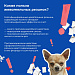 Жвачка: друг или враг?
