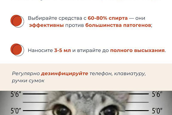 Гигиена рук