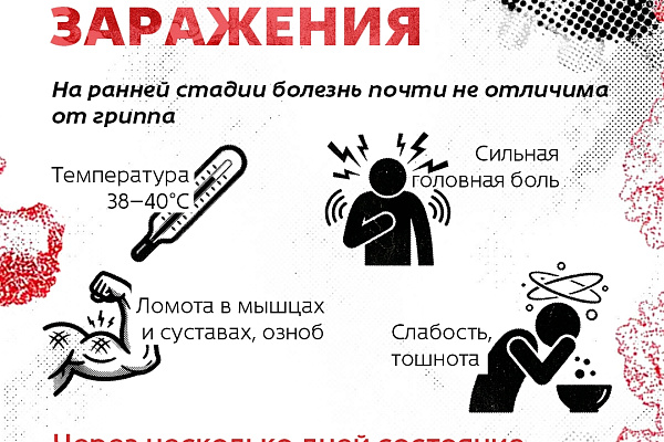 Хантавирус