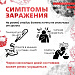 Хантавирус