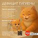 В семье закладываются привычки, которые в дальнейшем определяют наше отношение к собственному здоровью.