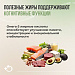 Продуктивность начинается с вашей тарелки