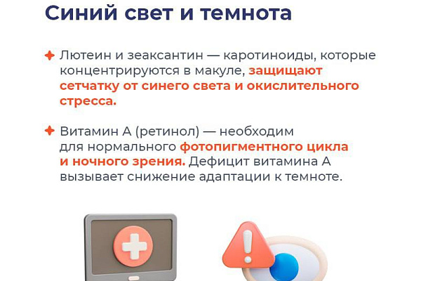Какие продукты полезны для зрения