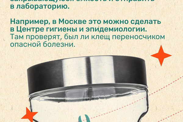 Сезон клещей: как обезопасить себя в путешествии