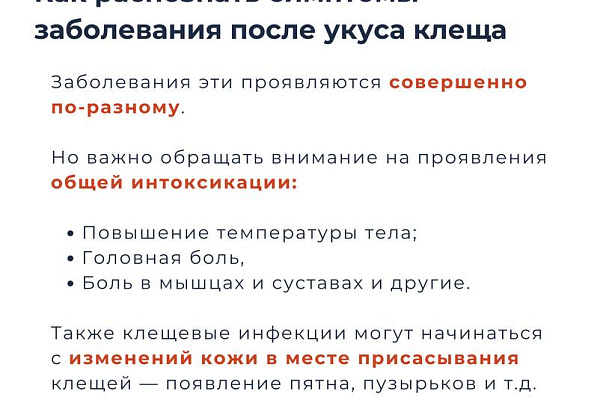 Укус клеща и его последствия