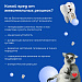 Жвачка: друг или враг?
