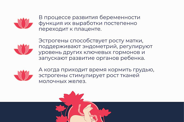 Эстрогены — гормоны, которые определяют женскую сущность