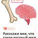 Расскажи мне, что такое костный мозг