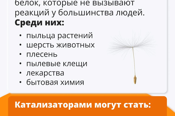 Не просто насморк: как выявить и лечить аллергию