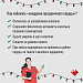 Синдром праздничного сердца