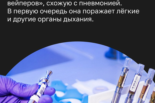 Вкусные вредители