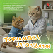 Здоровье на рабочих местах